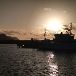 大雨後のアジング